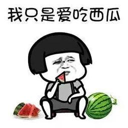 娱乐圈这么多瓜怎么吃,教你如何品鉴这场视觉盛宴